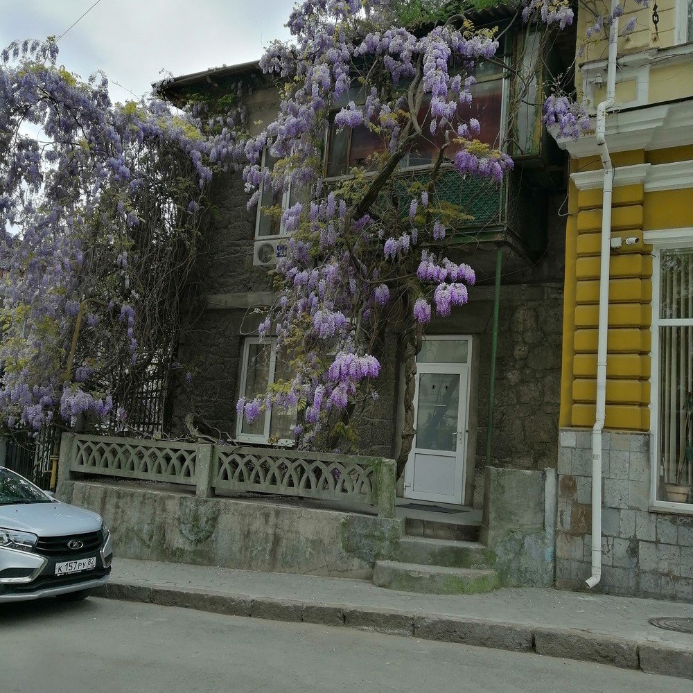 Ялтинский дворик