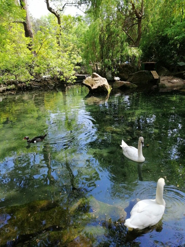 Зеркальный пруд