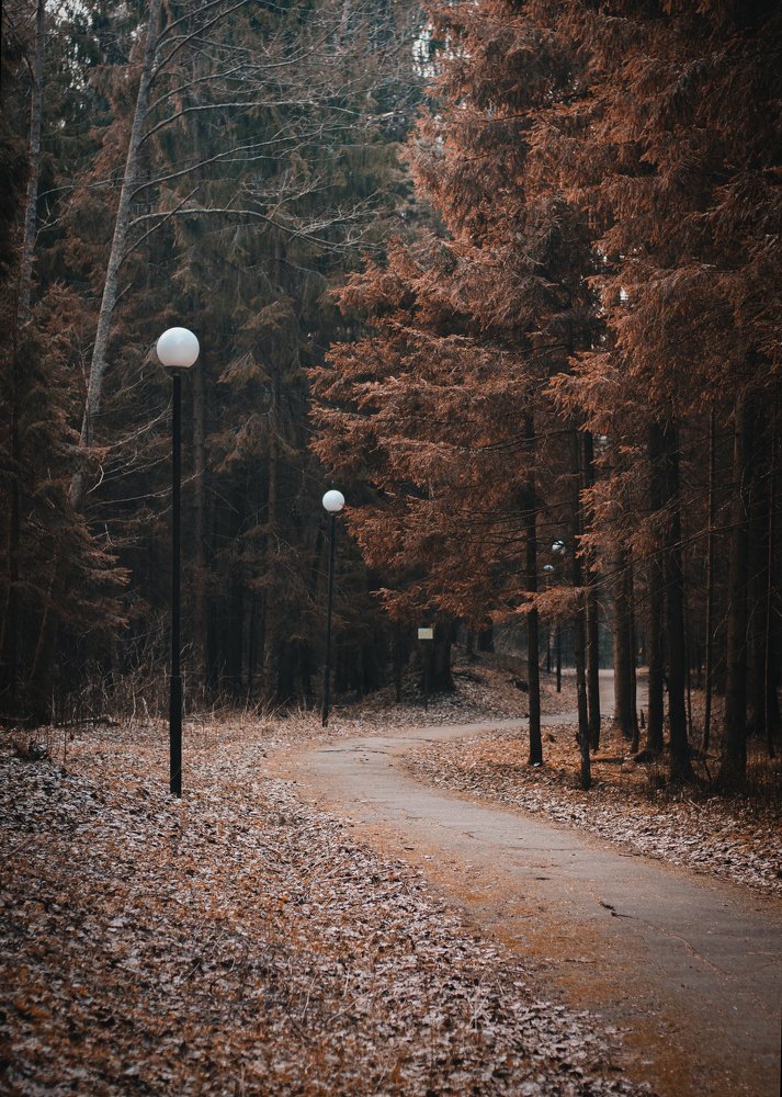 Photograph by Андрей Котик