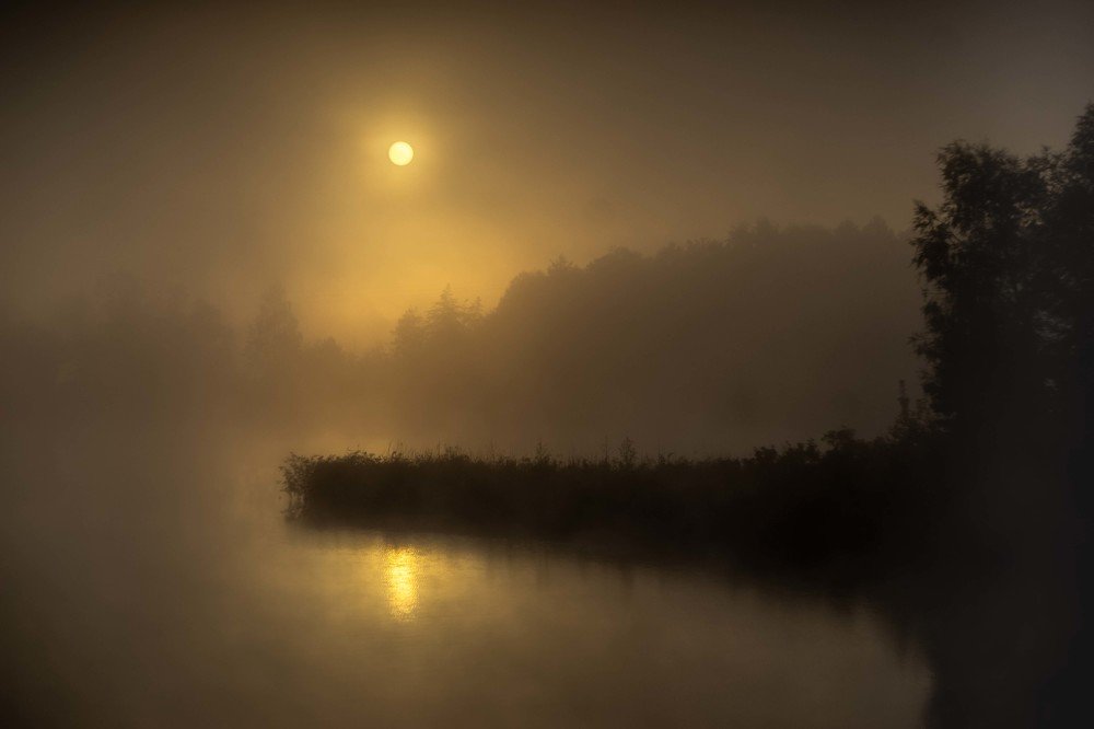 Photograph by mikhail goryachev