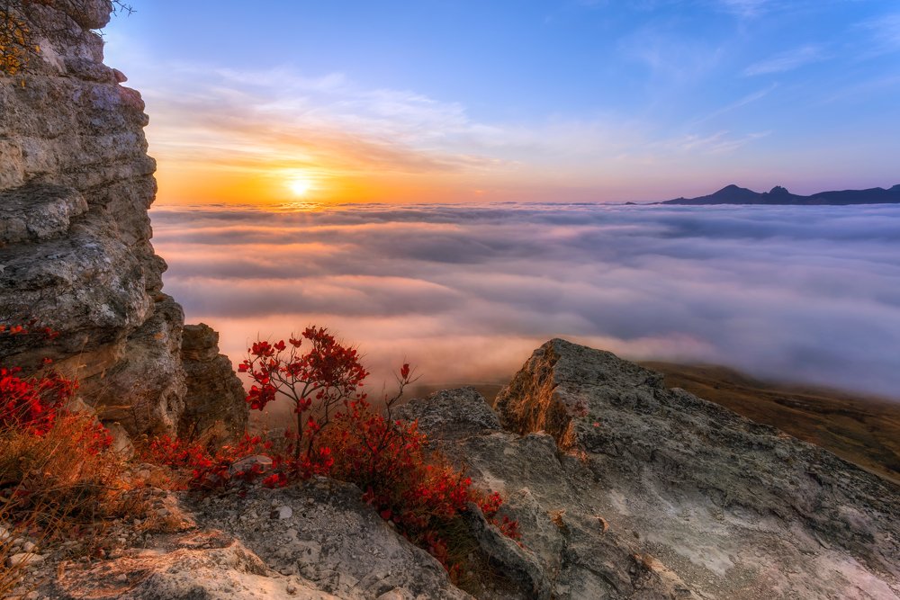 Photograph by Юлия Шумляева