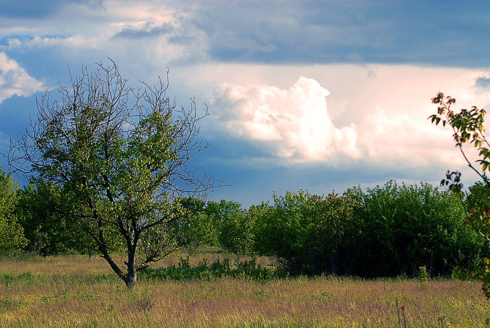 Начало лета