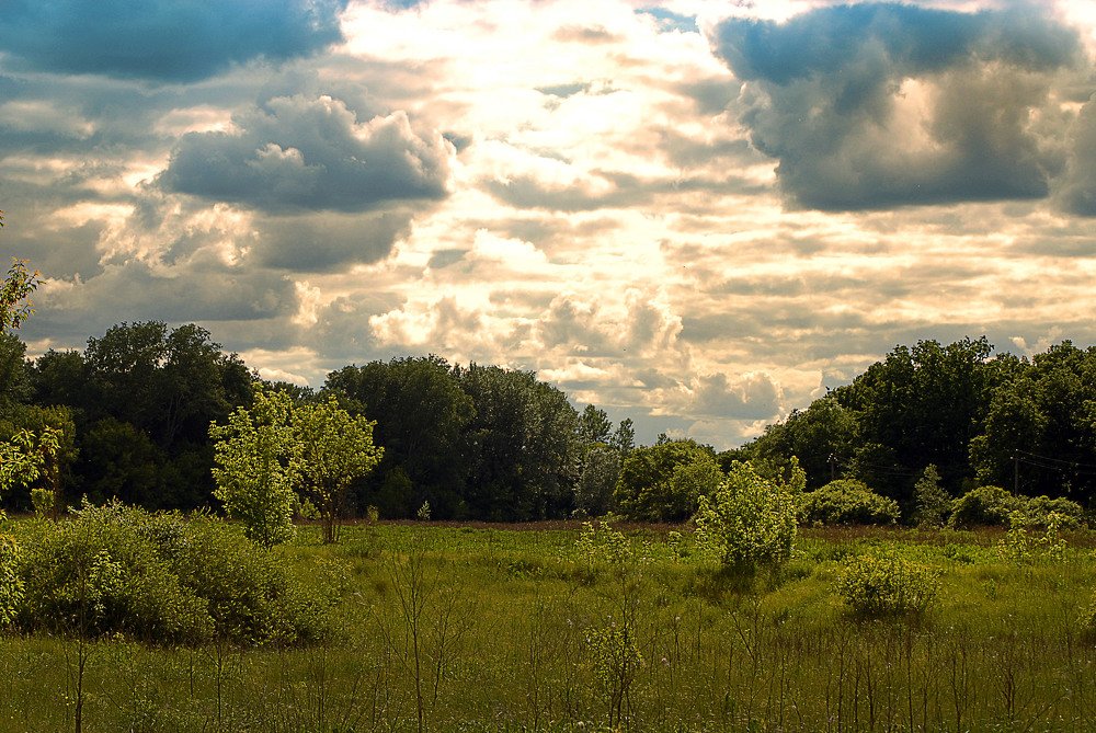 Майский день