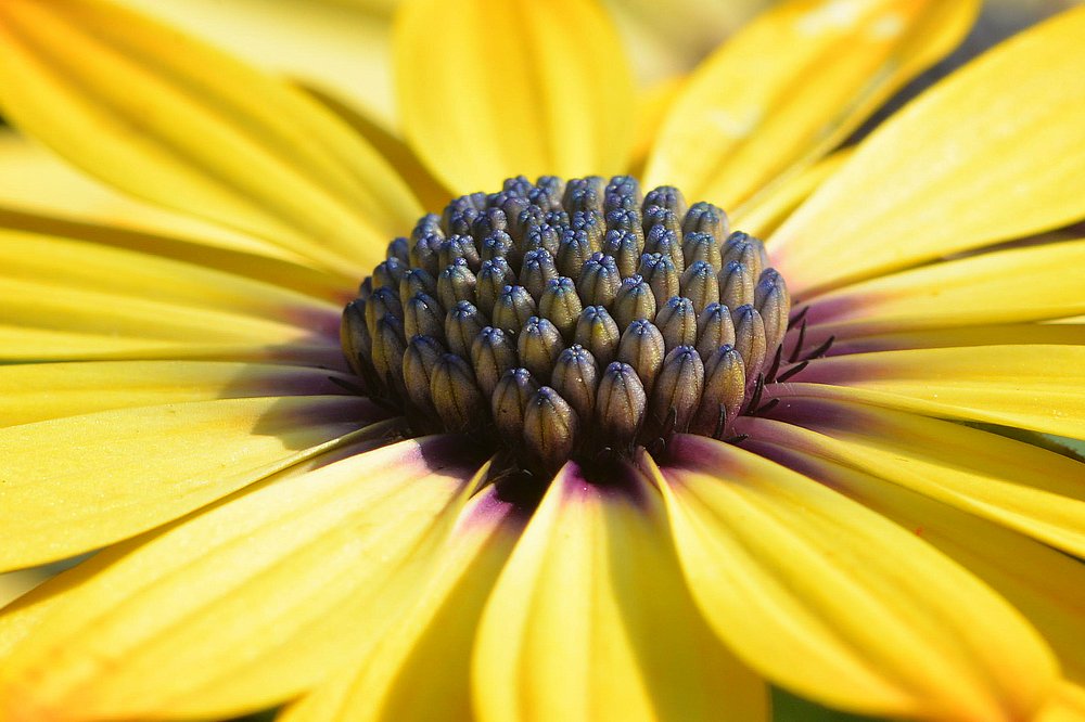 Фотография автора vladimir algazin