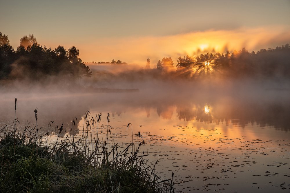 Фотография автора Dace Spalvina