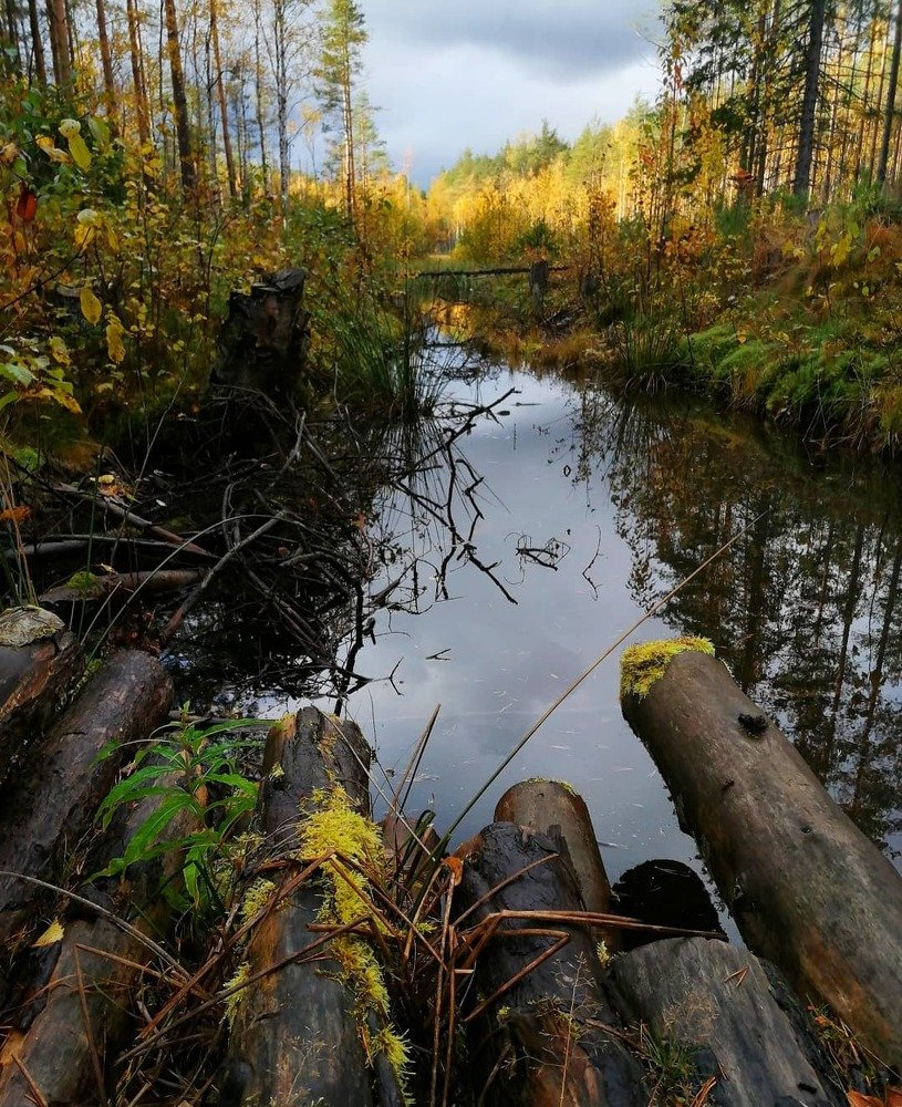 Photograph by Игорь Шерман