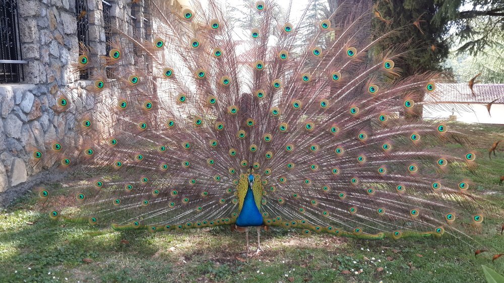 Photograph by Nuray Sinal