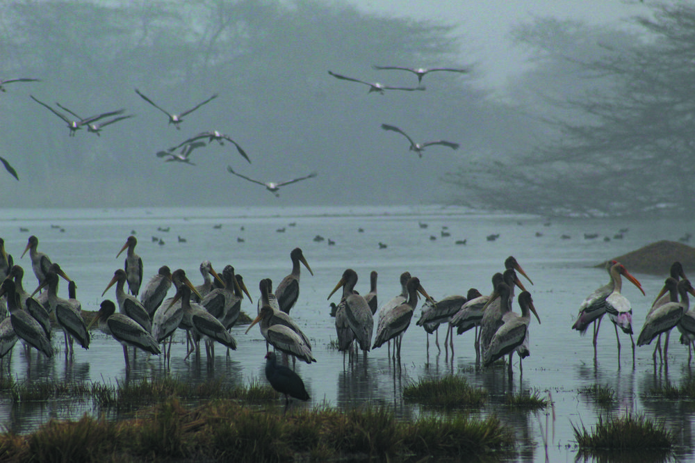 Photograph by KOPAL GUPTA