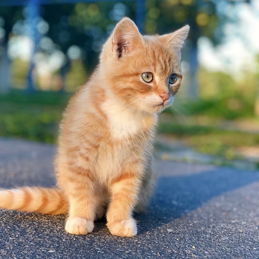 Photograph by Виктория Потапова