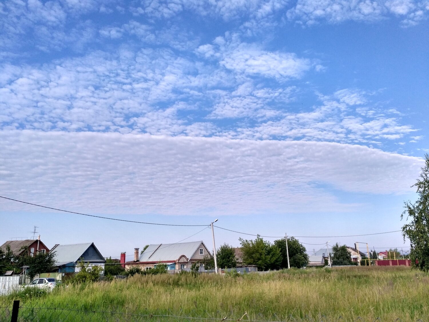 Photo #4629836