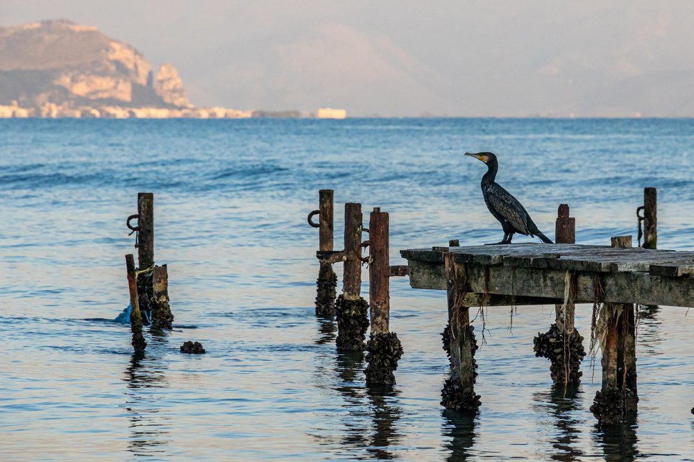 Photograph by Игорь Калинин