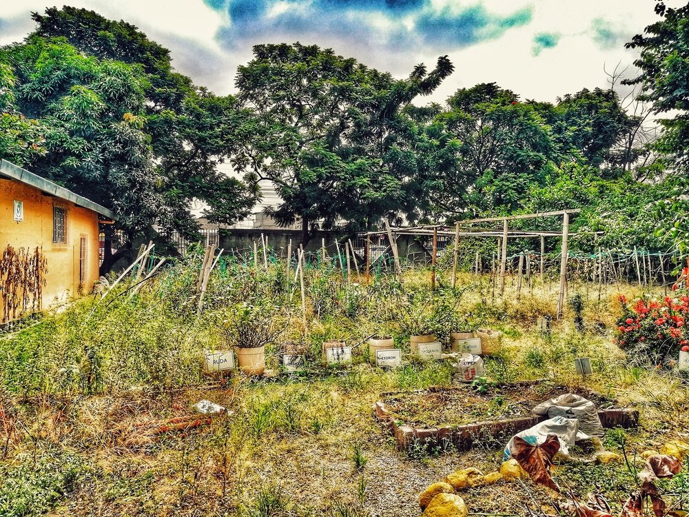 Montes