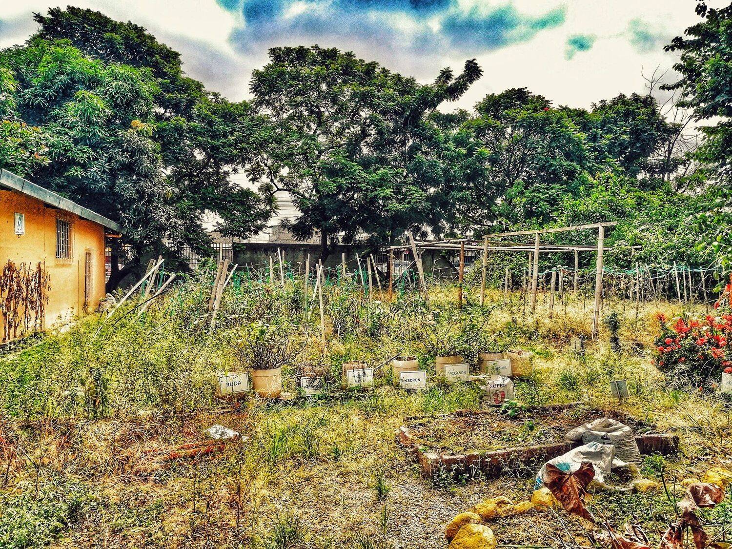Montes