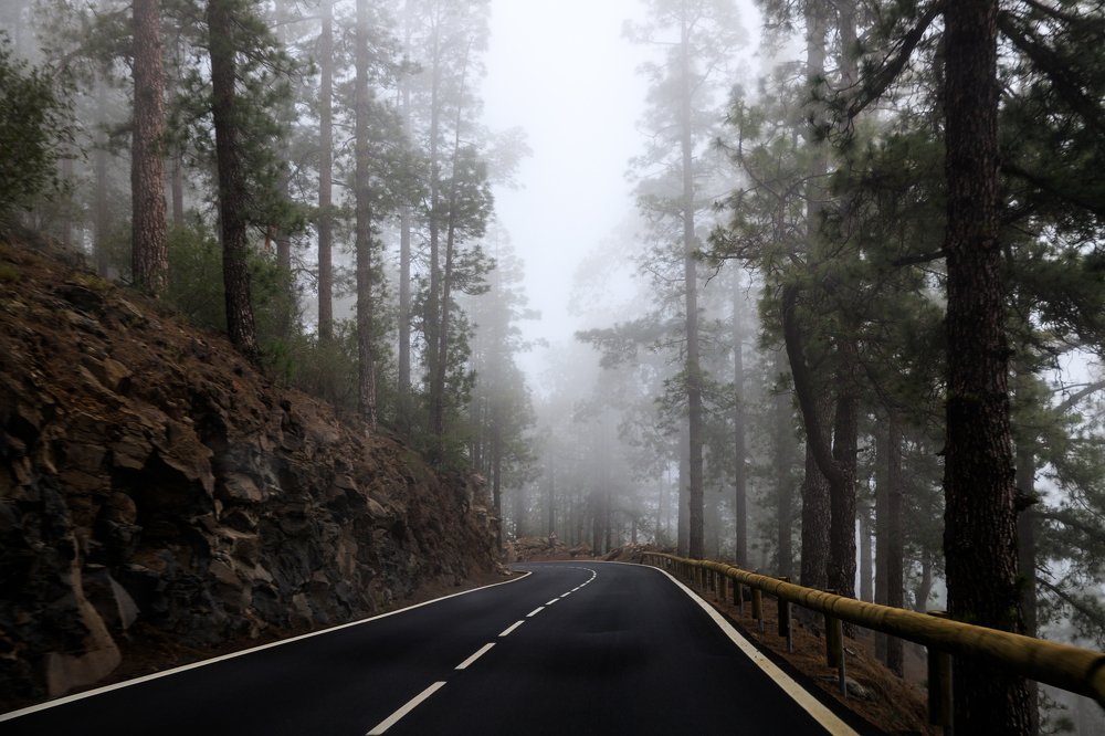 Фотография автора Гудкова Светлана