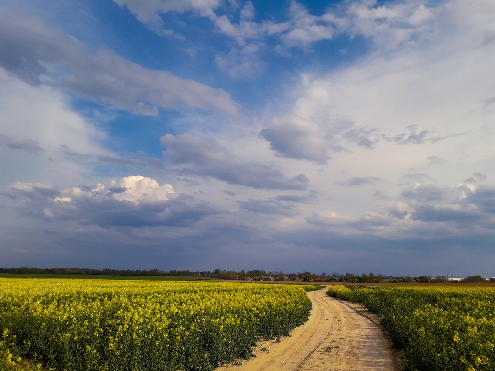 Беларусские просторы.