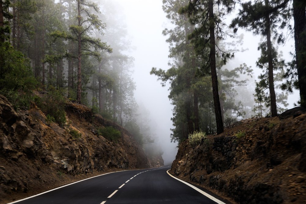 Фотография автора Гудкова Светлана