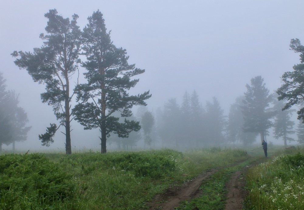 Photograph by Леунина Людмила