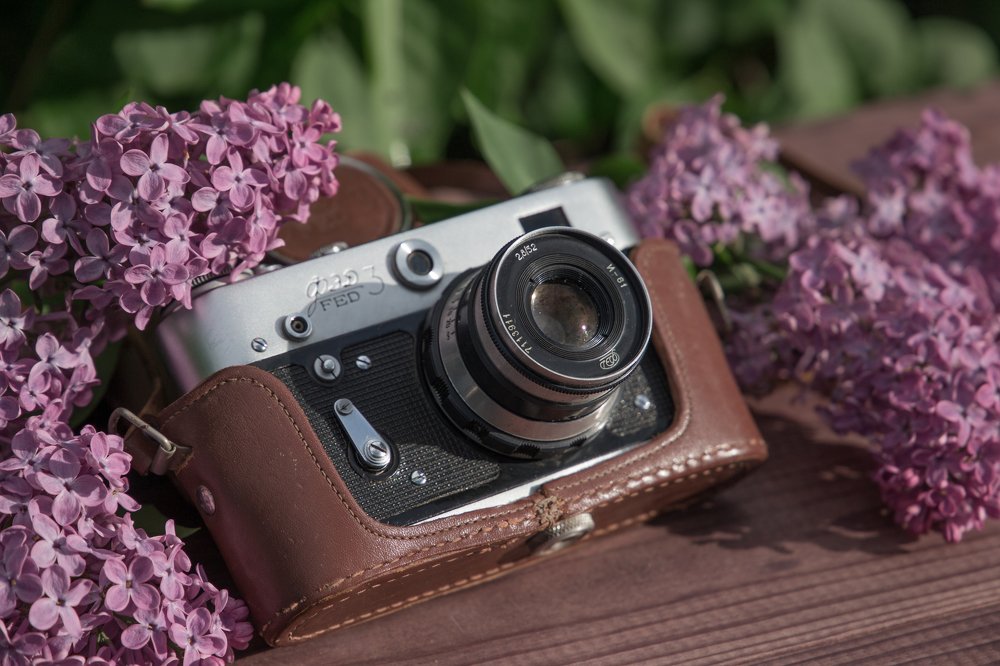 Photograph by Анастасия Подситкова