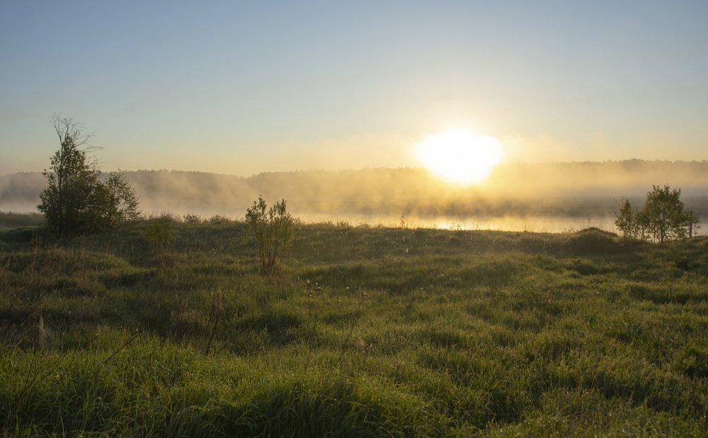 Восходящее в утреннем тумане