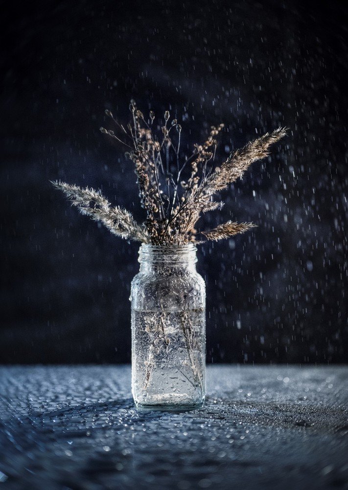 Photograph by Екатерина Гусева