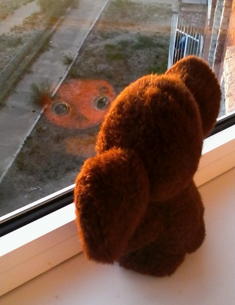 Photograph by Татьяна Собенникова