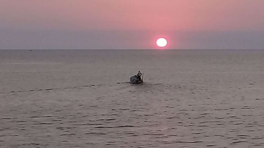 Photo #4630252