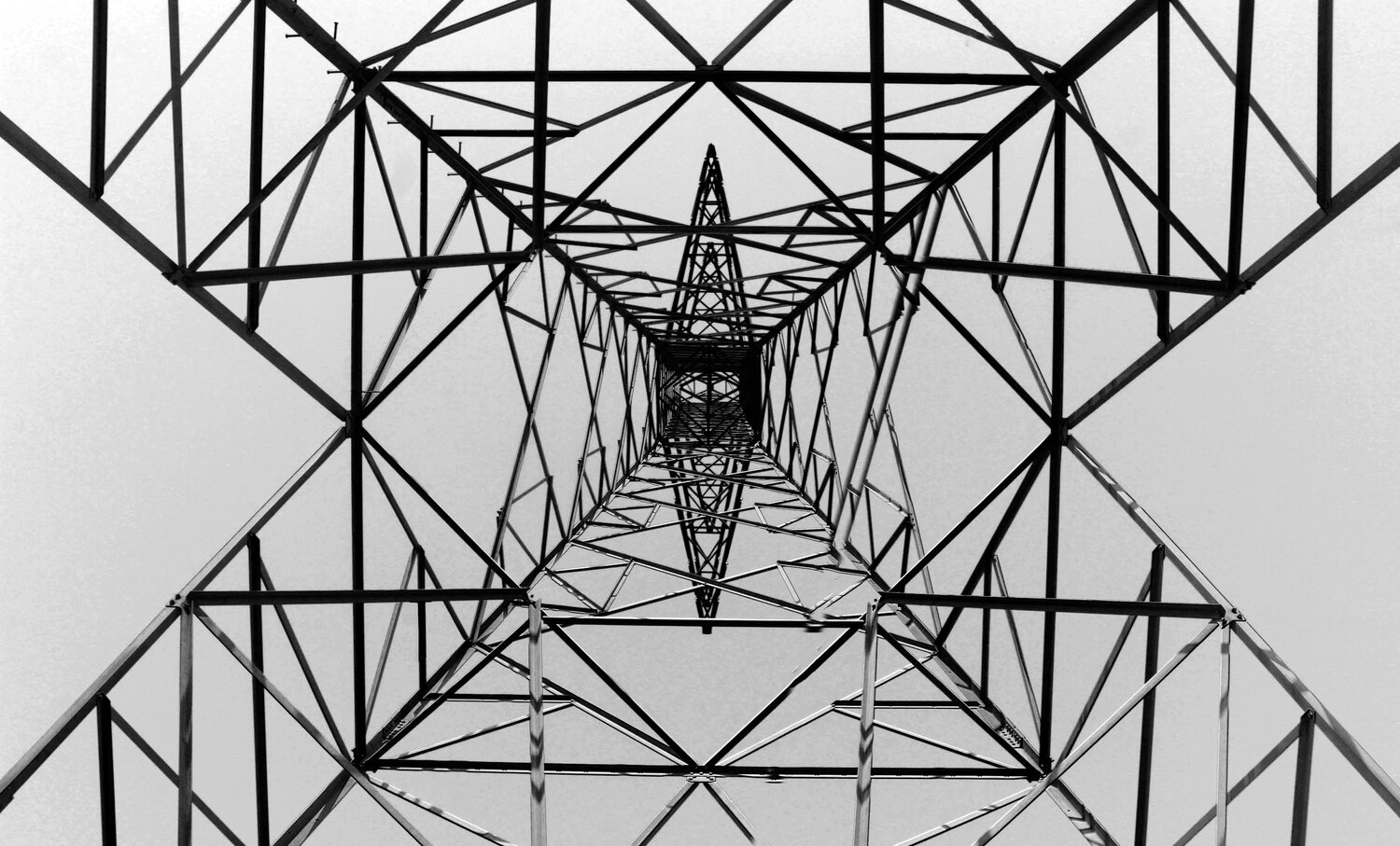 Фотография #4630301