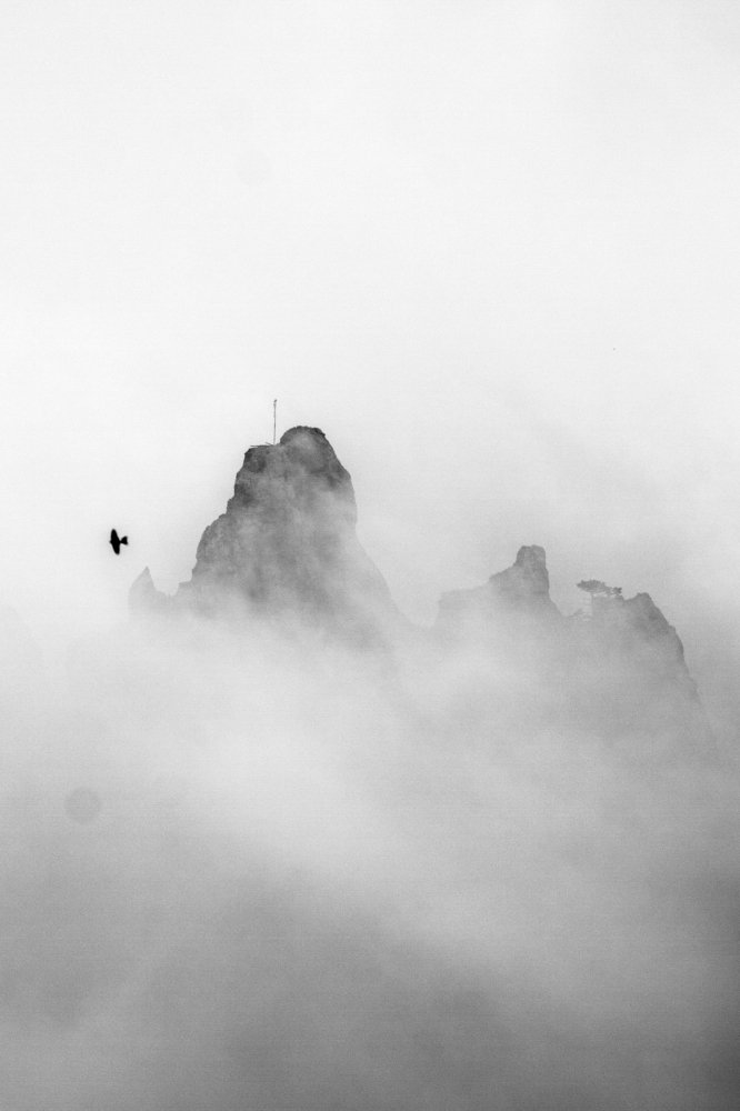 Photograph by Александр Попович