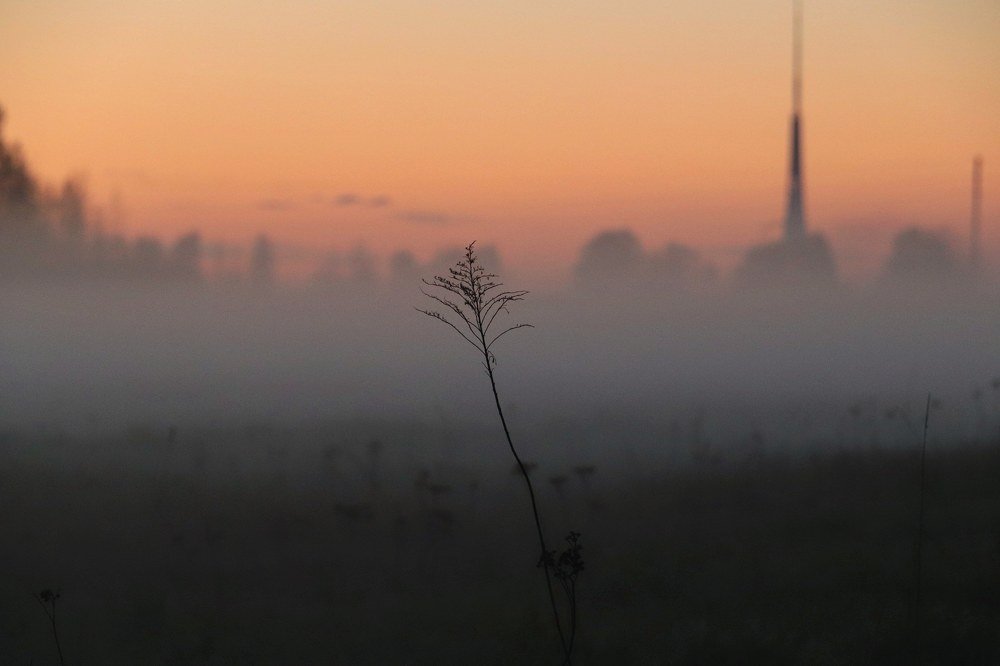 Photograph by Jelena Dzene