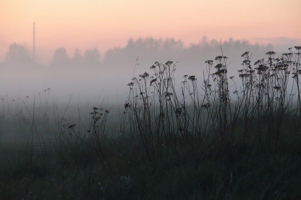 Photograph by Jelena Dzene