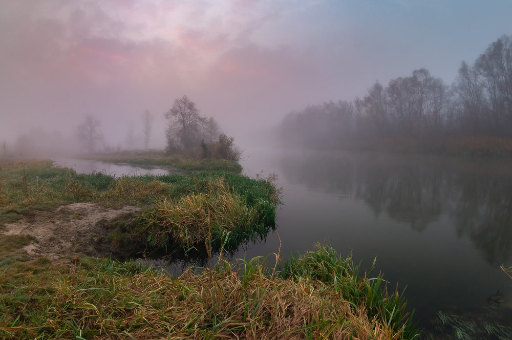 У тихой заводи