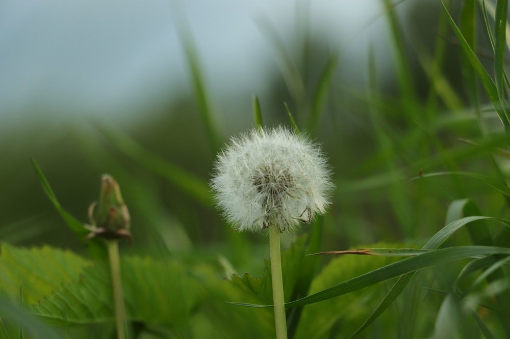 Photograph by Jelena Dzene