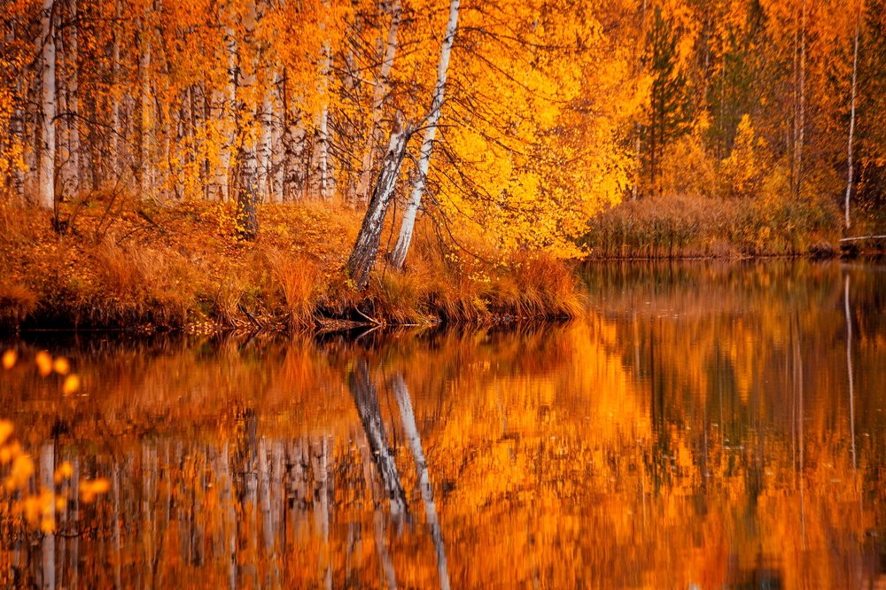 Photograph by Дмитрий Пасынков