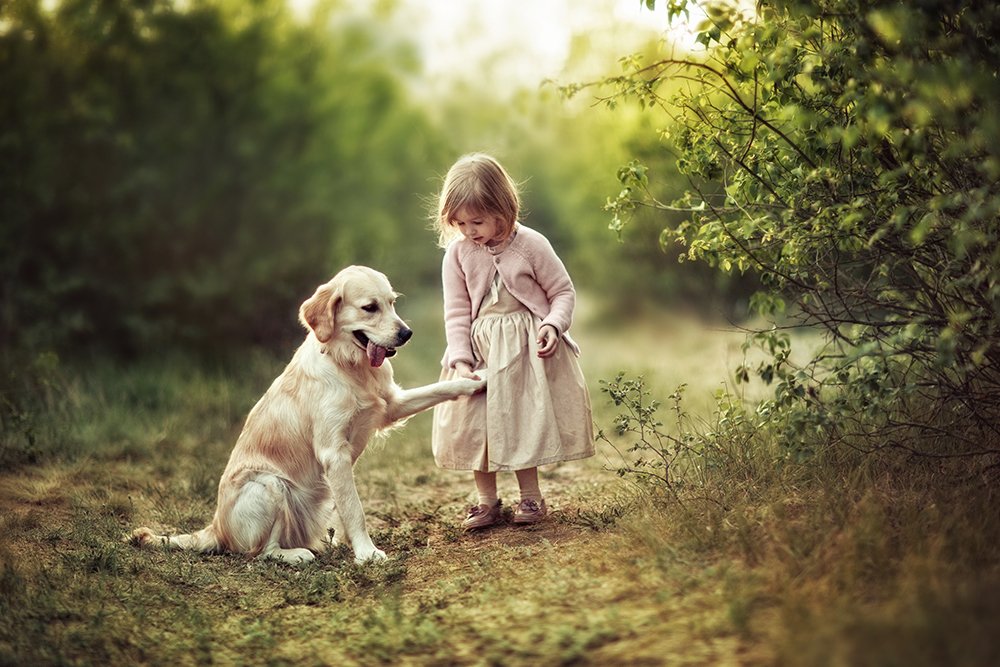 Photograph by Валентина Корибут