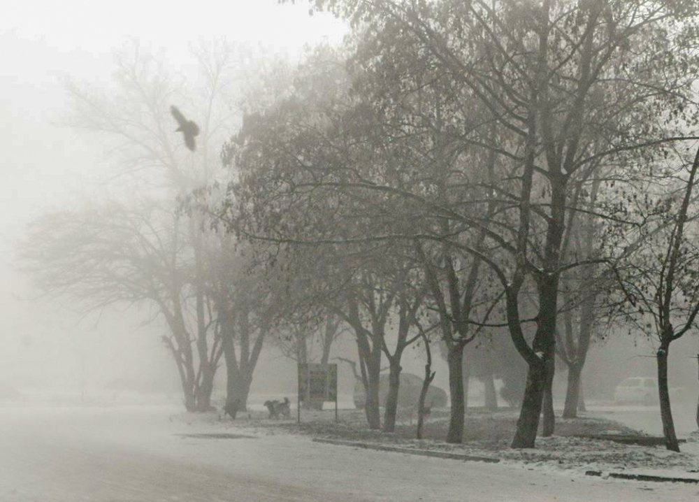 Photograph by Ирина Федорова