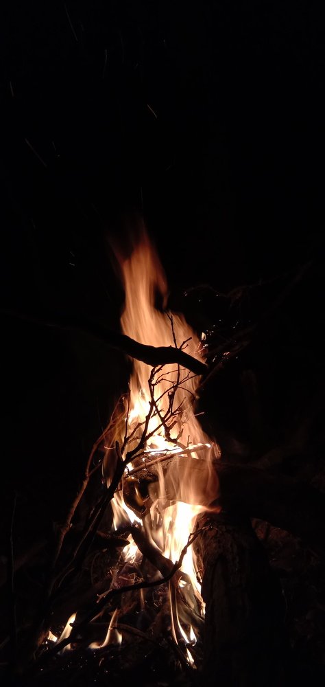Photo #4630508