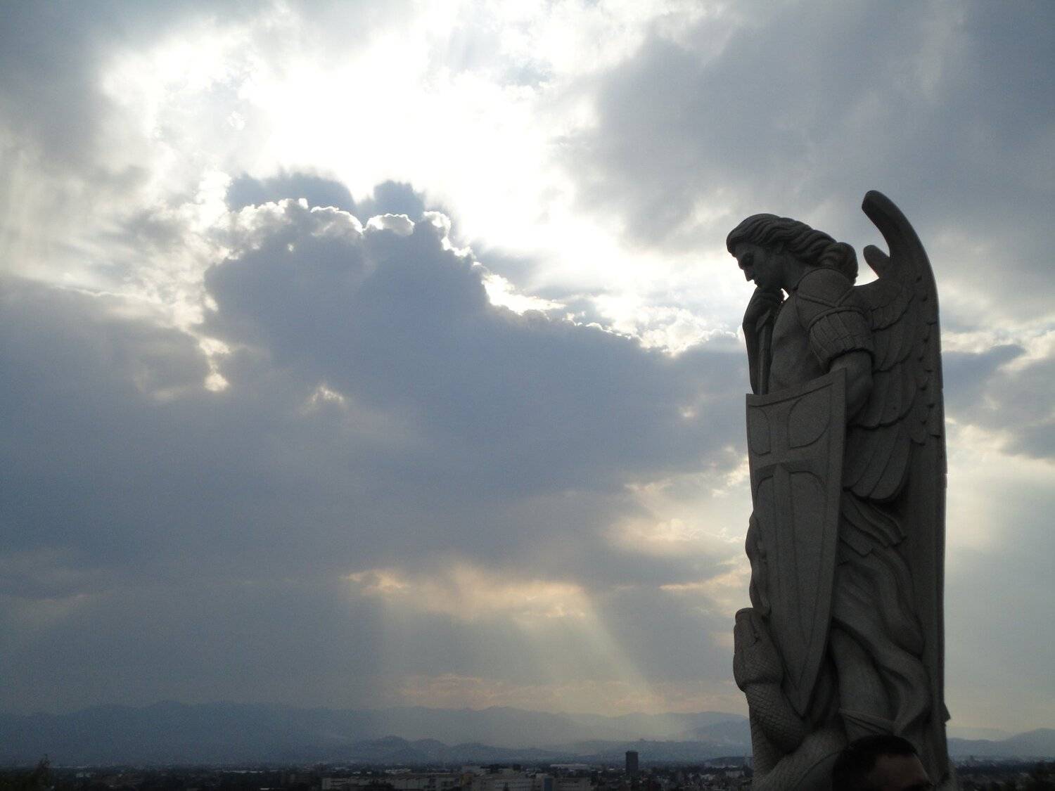 Photo #4630509