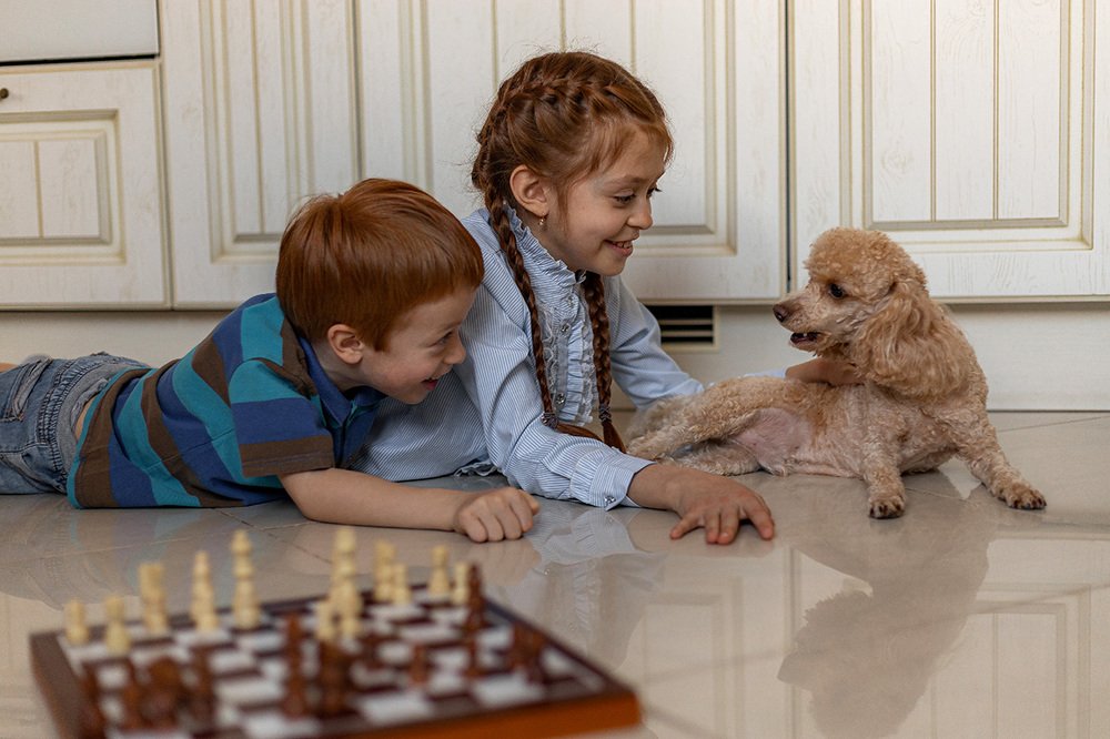 с любимой собакой (пудель Тоша)