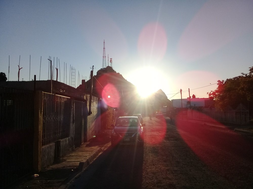 Photo #4630533