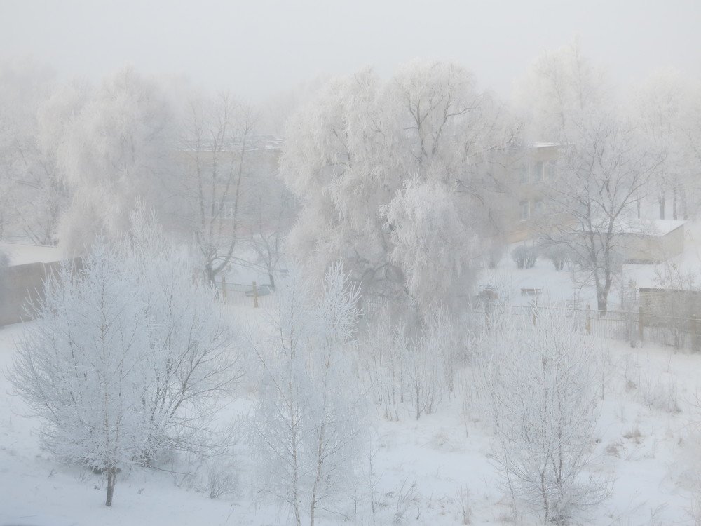 Photograph by ЭЛЬМИРА  ИСМАИЛОВА