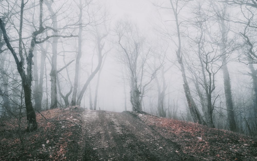 Сквозь холодное молоко...