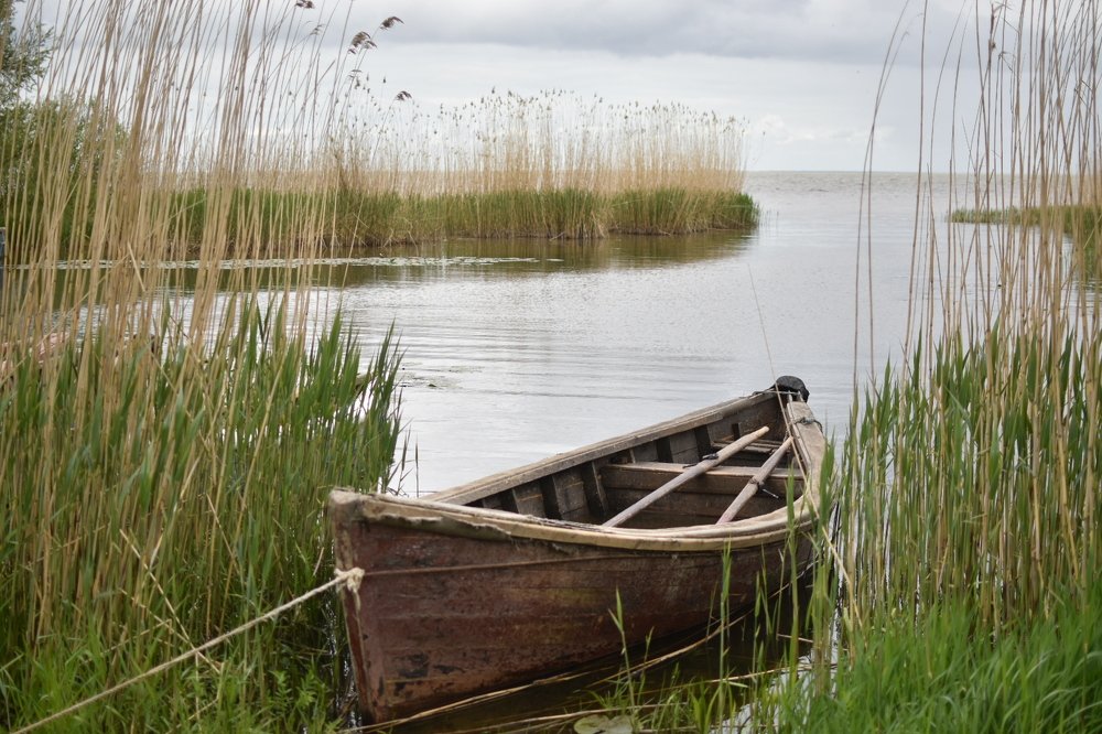 Photograph by Людмила Комарова