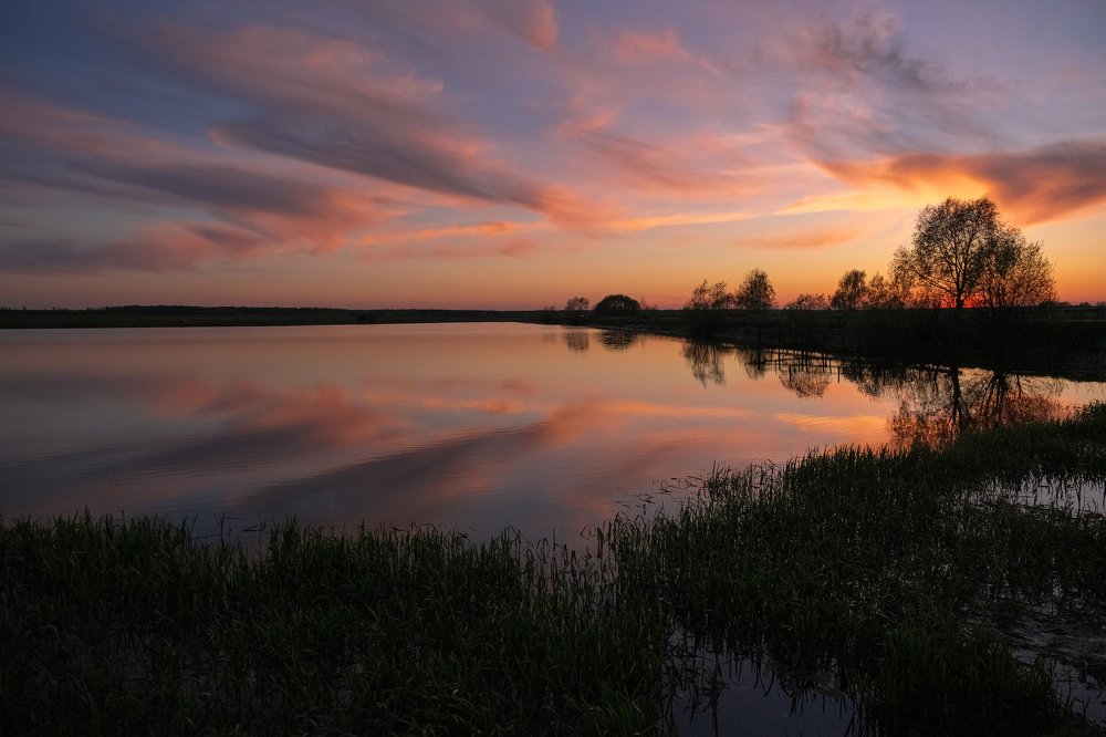 Фотография автора Марина Савчиц