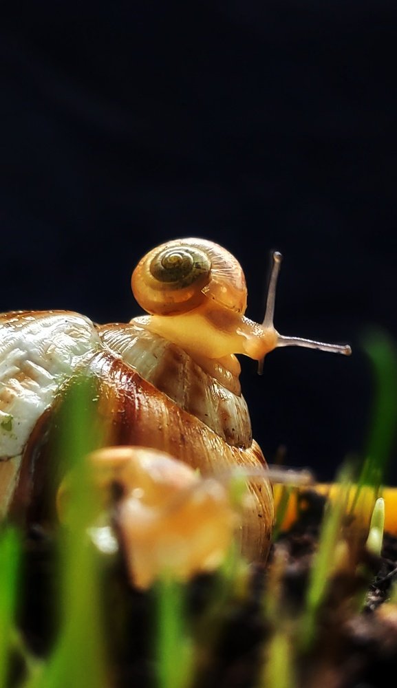 Photograph by Алеся Писнова