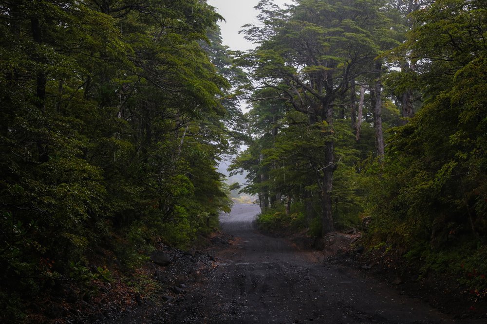 Photograph by Gonzalo Jorge Eduardo MARÓN