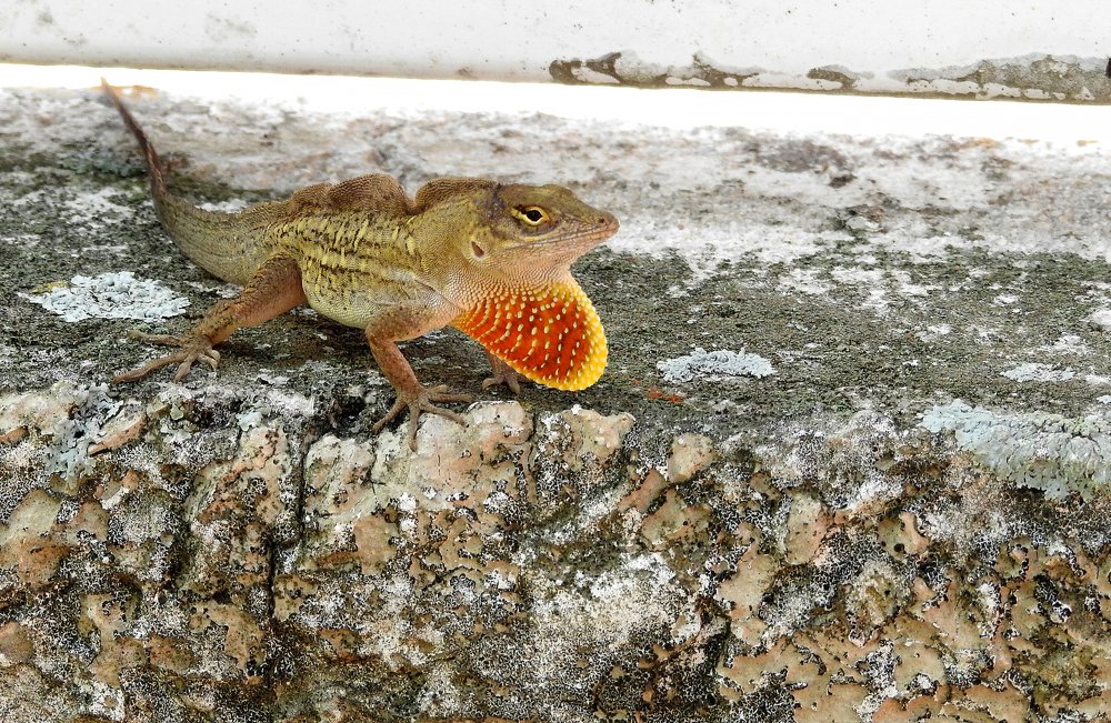 Photograph by MARIO HUMBERTO GARCIA GONZALEZ