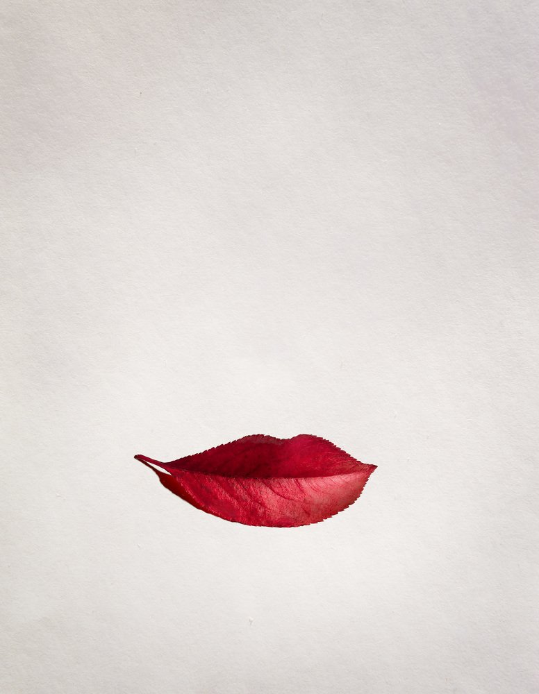 Красотка Осень