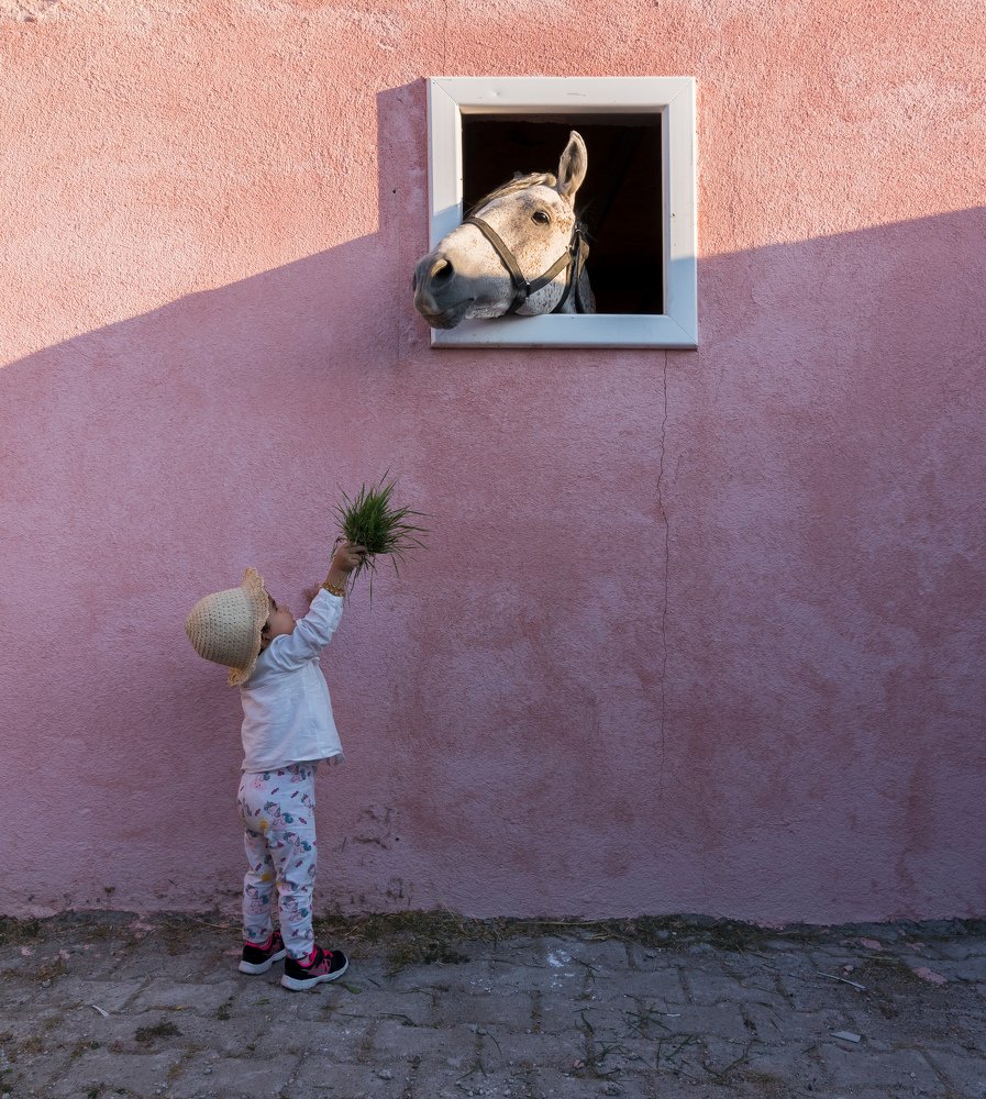 Photograph by Ramazan Cirakoglu