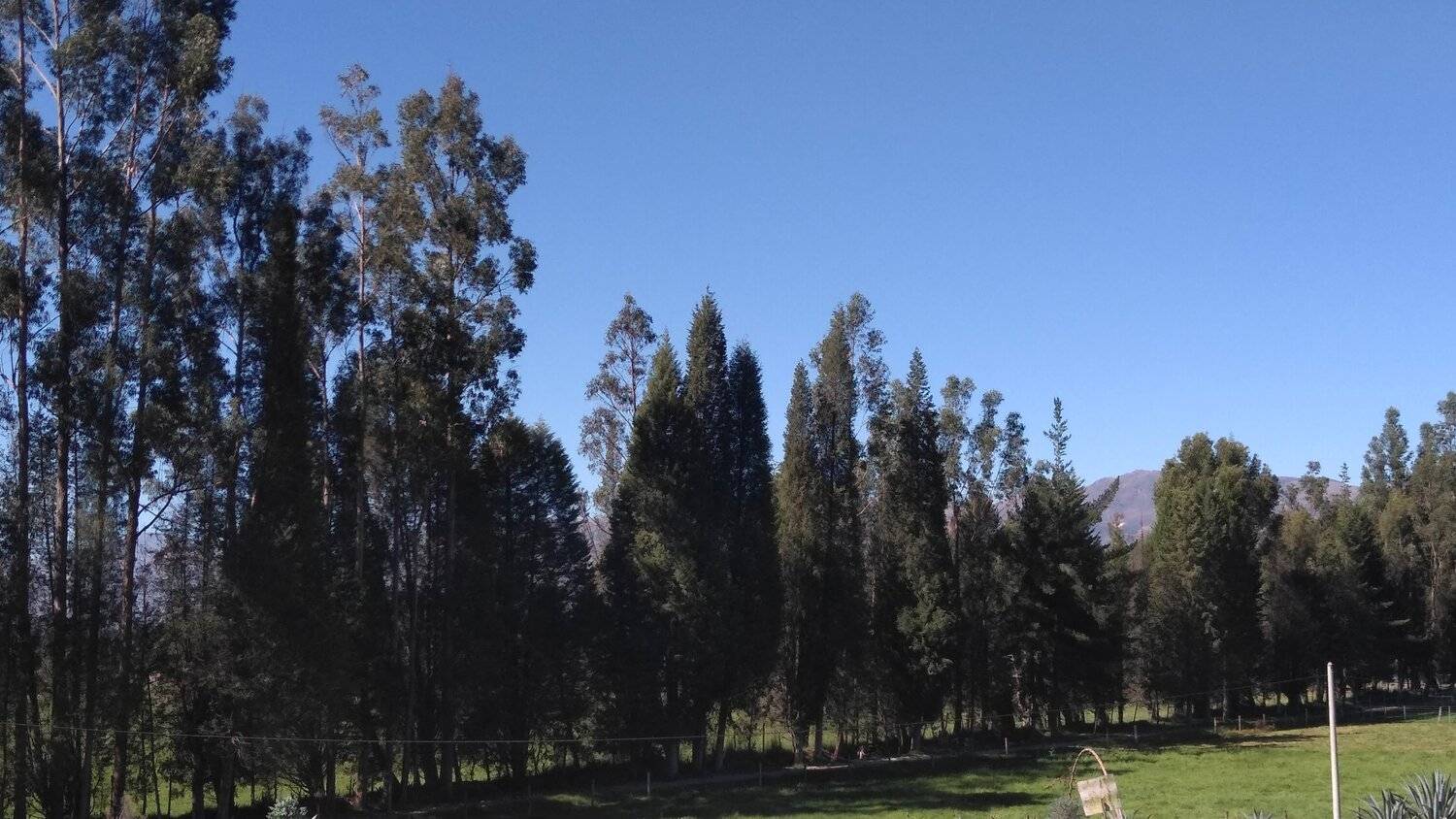 Photo #4631227