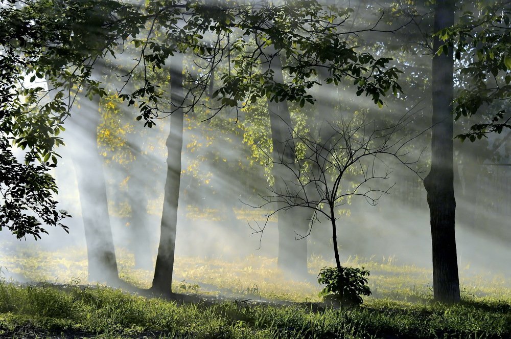 Photograph by Анатолий Святой